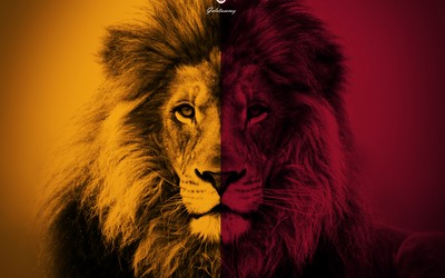 XK体育精华-为慈善发声